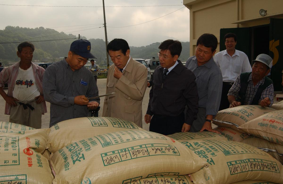 2005년 하곡수매