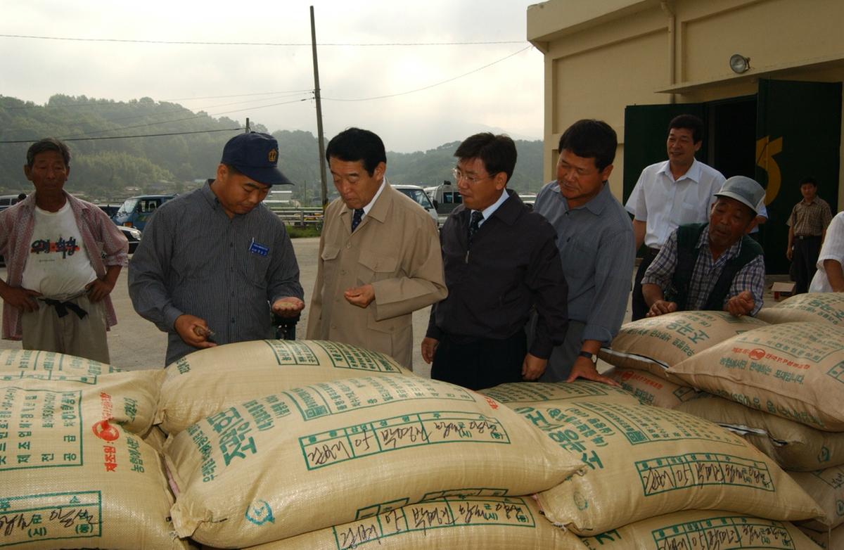 2005년 하곡수매