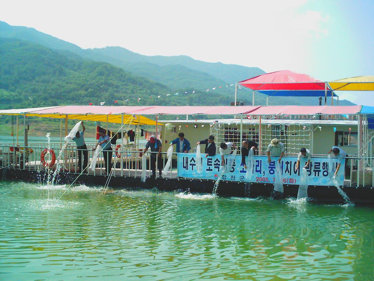 내수면 토속어종 쏘가리, 붕어치어 방류행사