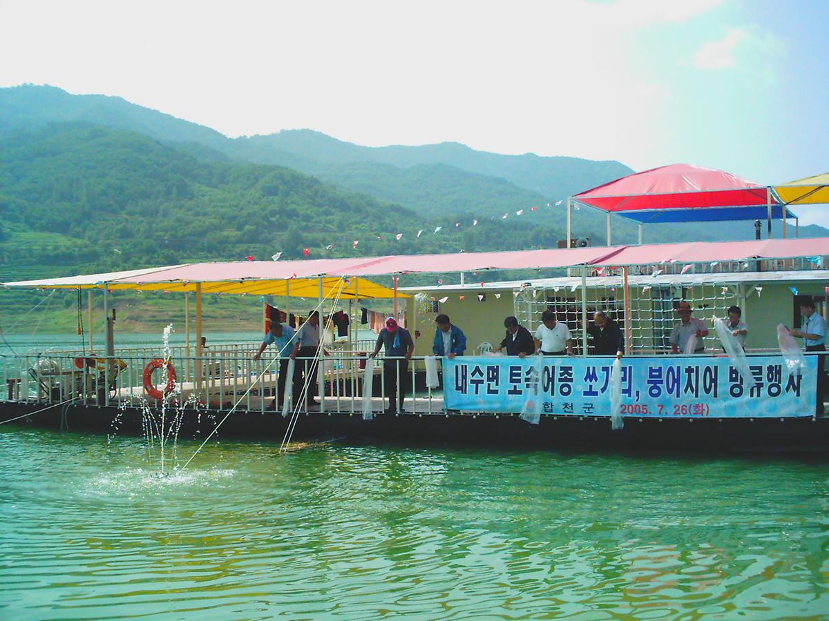 내수면 토속어종 쏘가리, 붕어치어 방류행사