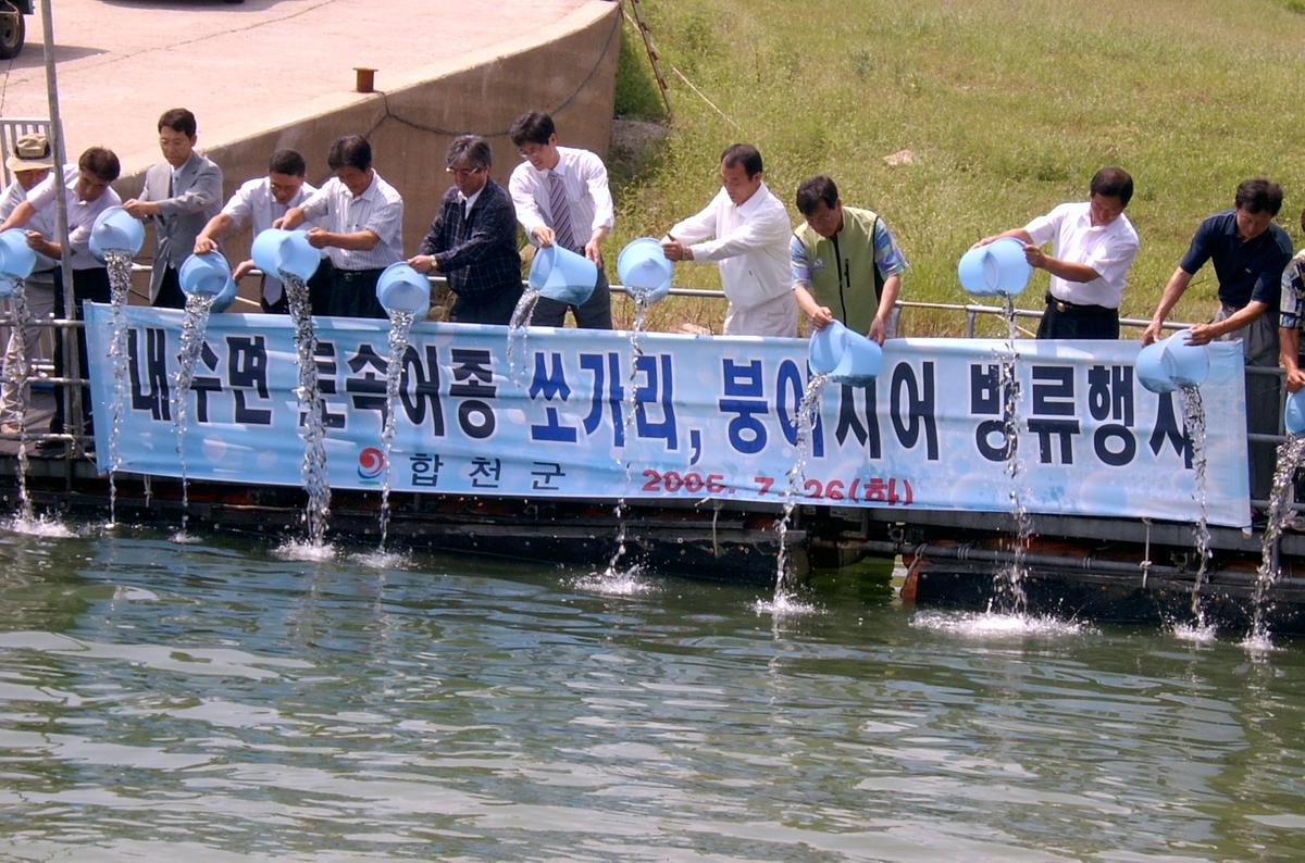내수면 토속어종 쏘가리, 붕어치어 방류행사