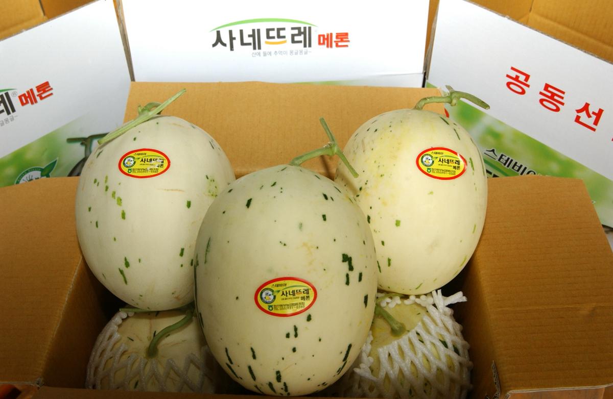 합천 사네뜨레메론