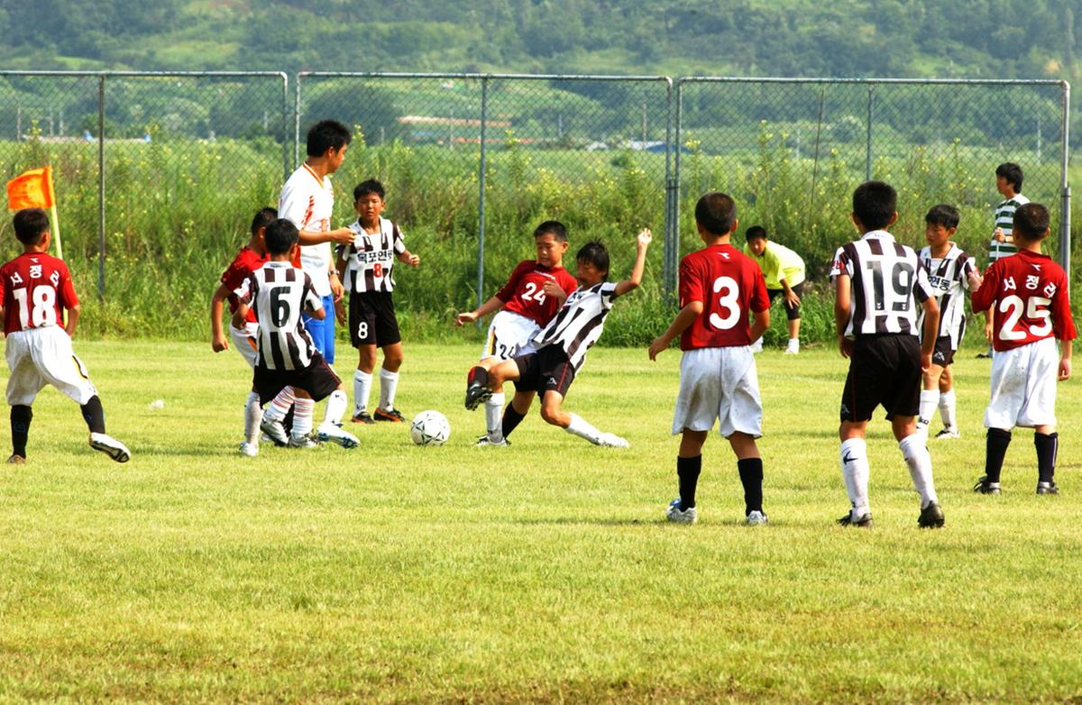 합천율곡 전국우수초등학교 축구대회