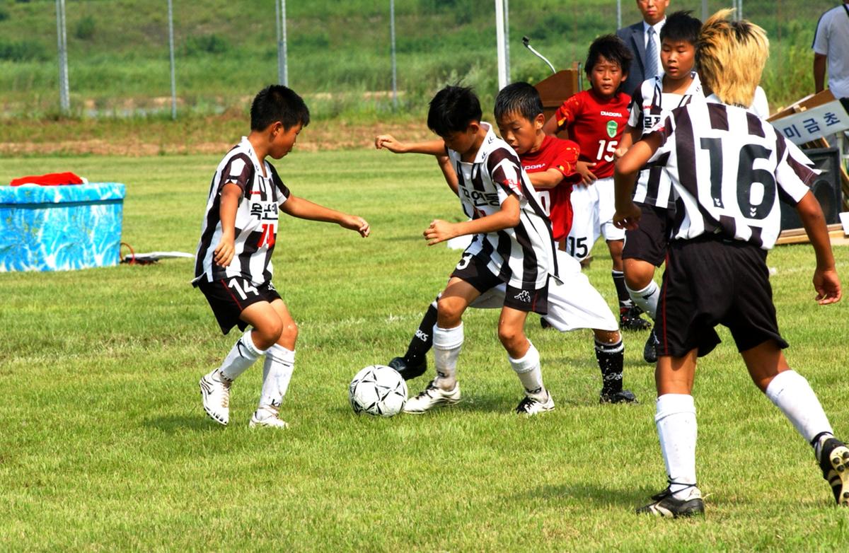 합천율곡 전국우수초등학교 축구대회