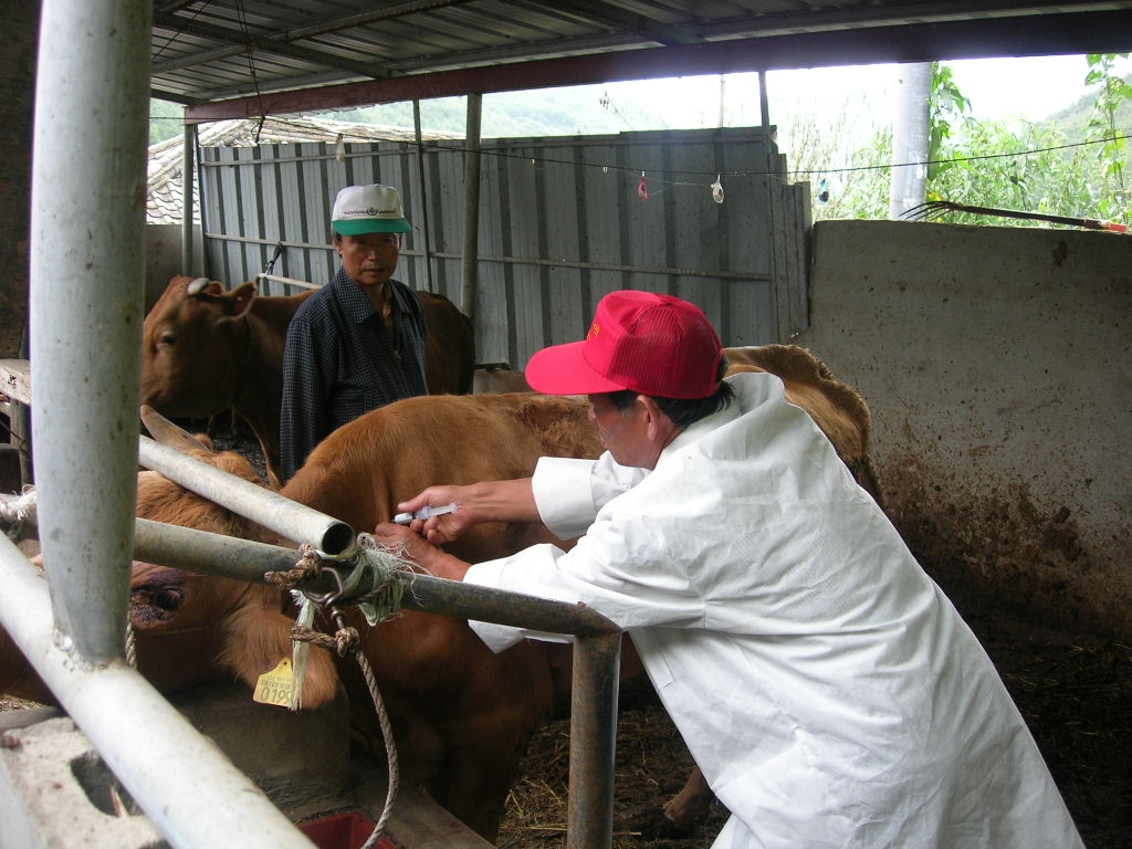 가축무료순회진료