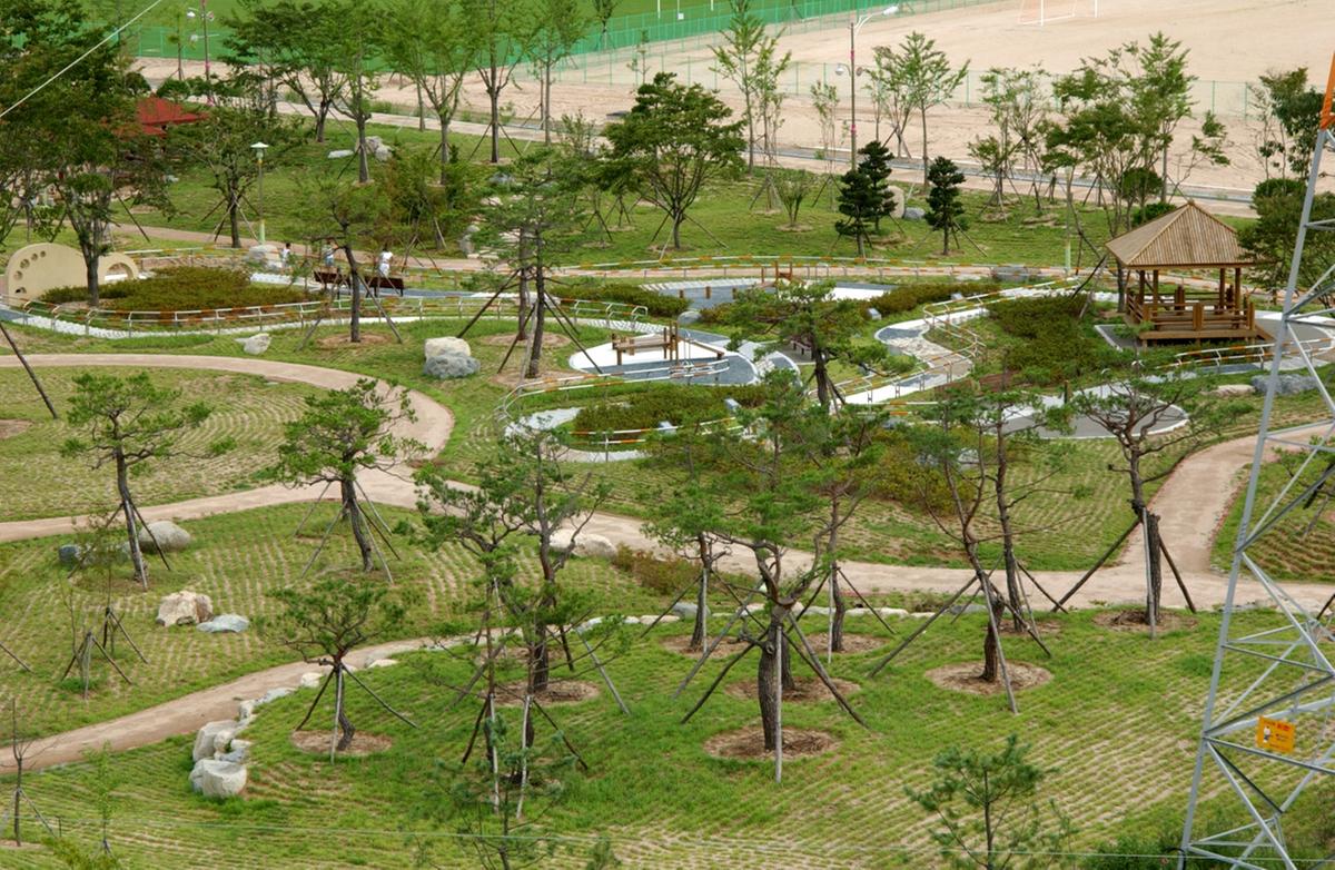 생명의 숲