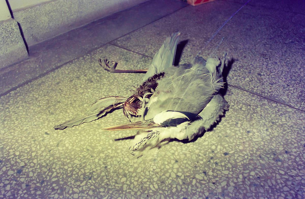 6.25 반공 재무장 실천대회
