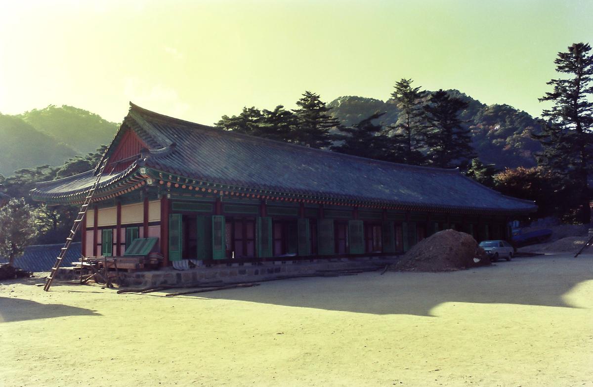 84 추곡수매 및 쥐잡기행사, 체육행사 성화 채화 및 봉송