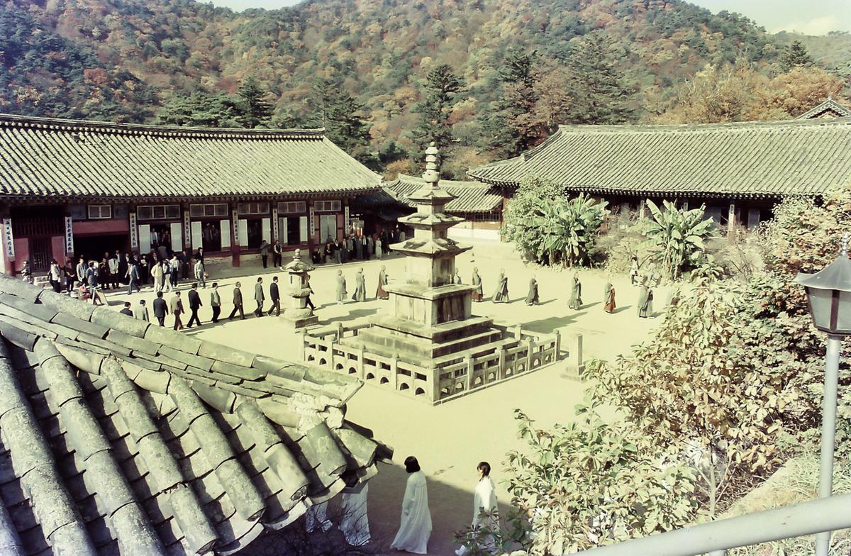 84 추곡수매 및 쥐잡기행사, 체육행사 성화 채화 및 봉송