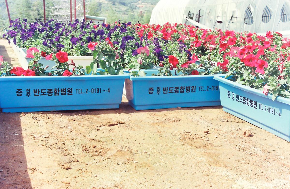 84 농번기 탁아소 보모 교육 수료식
