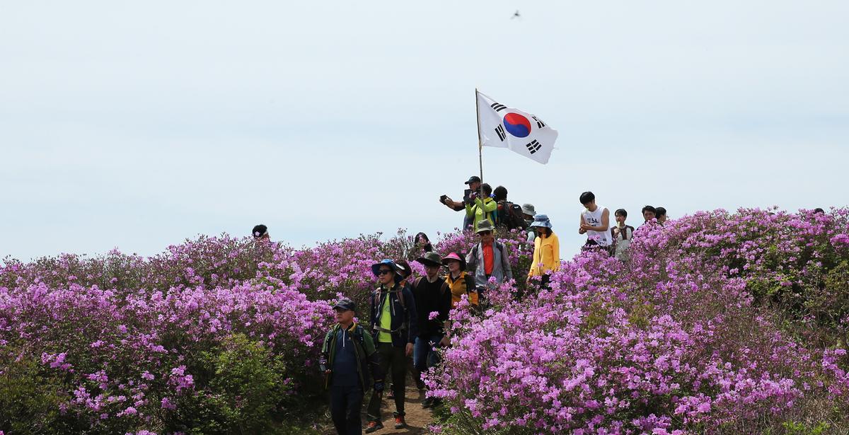 2017 황매산 철쭉