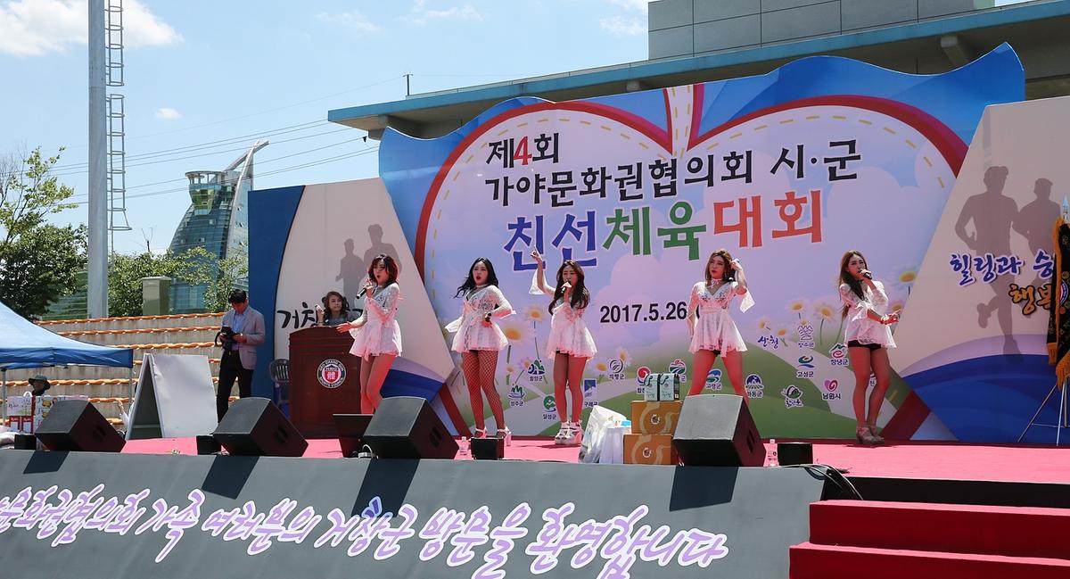 제4회가야문화권시군친선체육대회