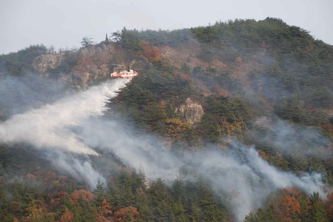 산불 진화