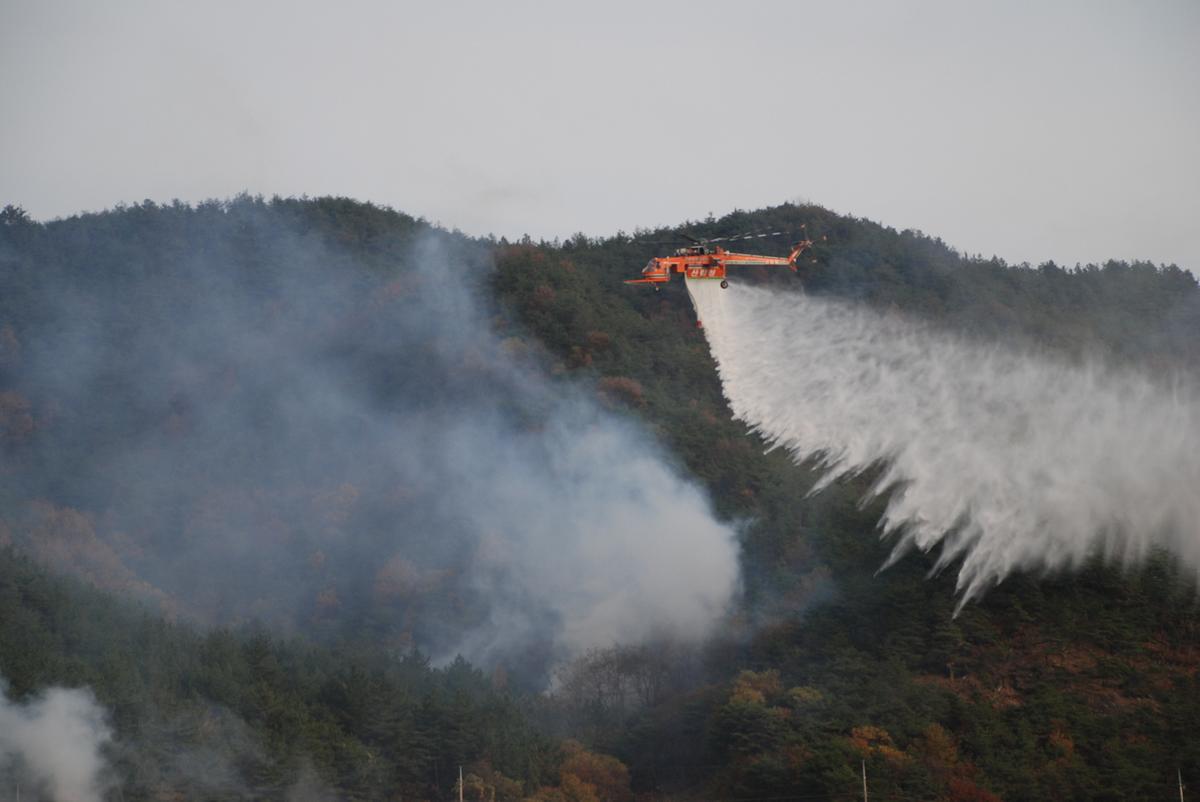 산불 진화