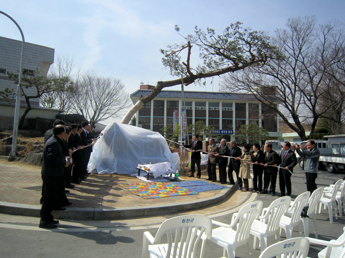 합천읍 상징목