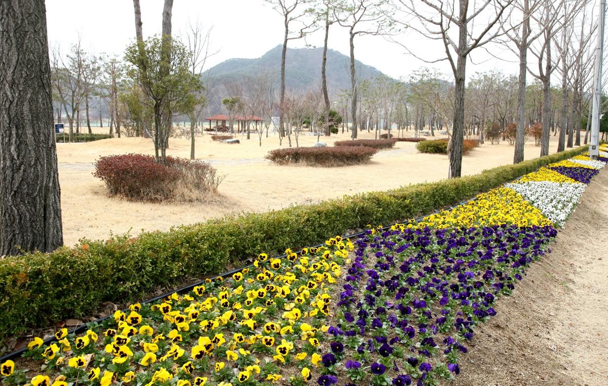 자연