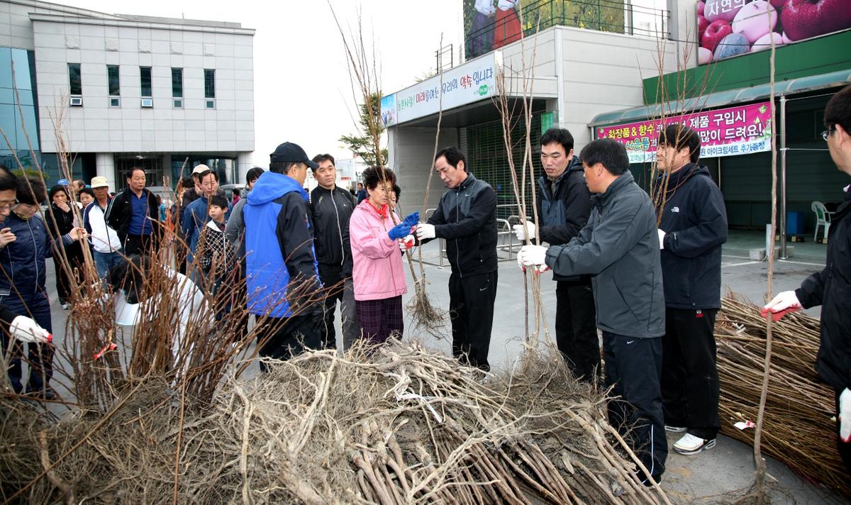 나무 나누어 주기