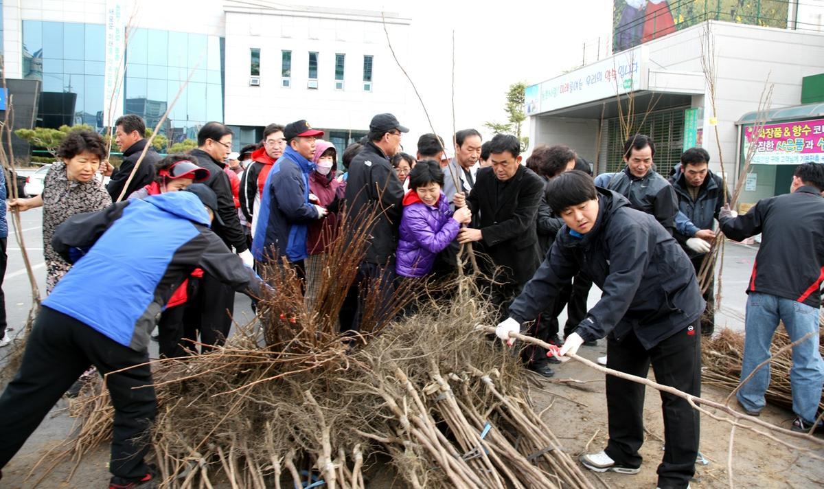 나무 나누어 주기