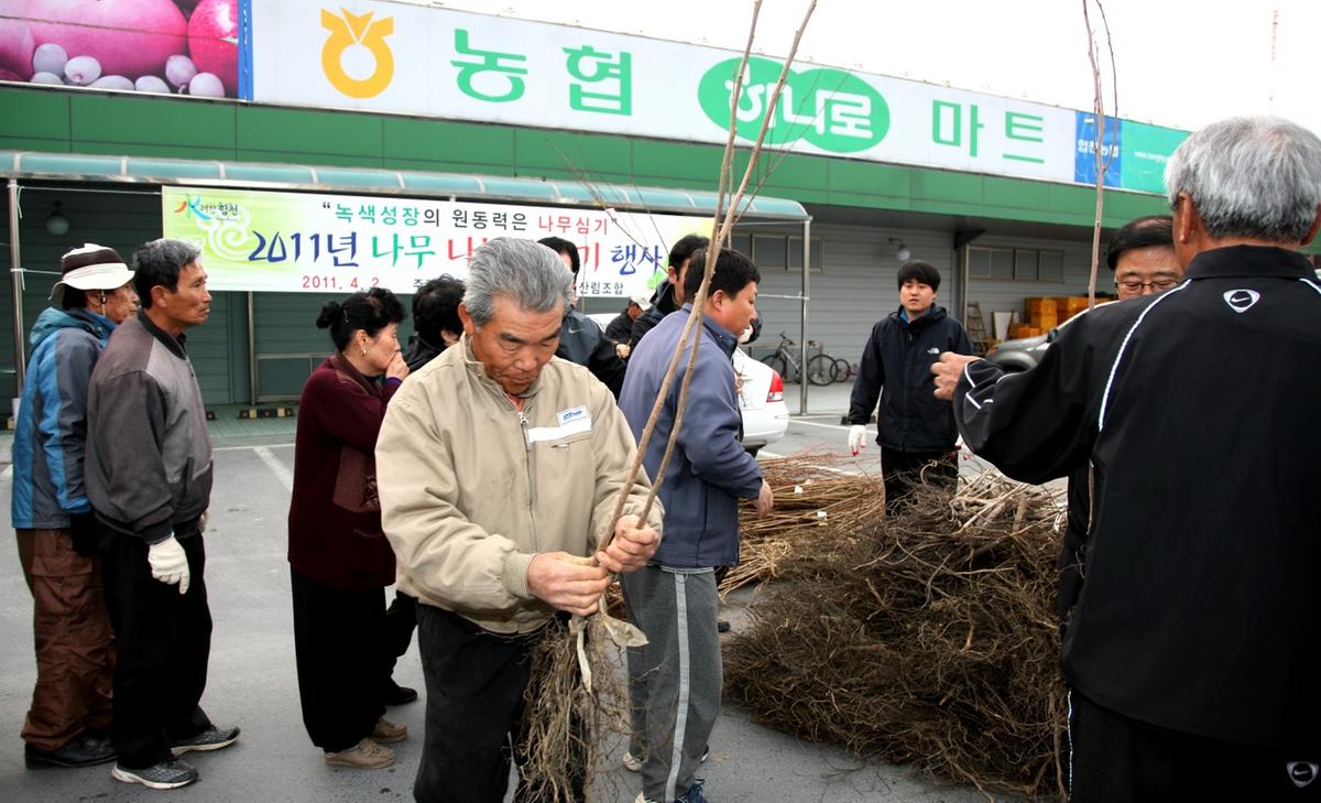 나무 나누어 주기