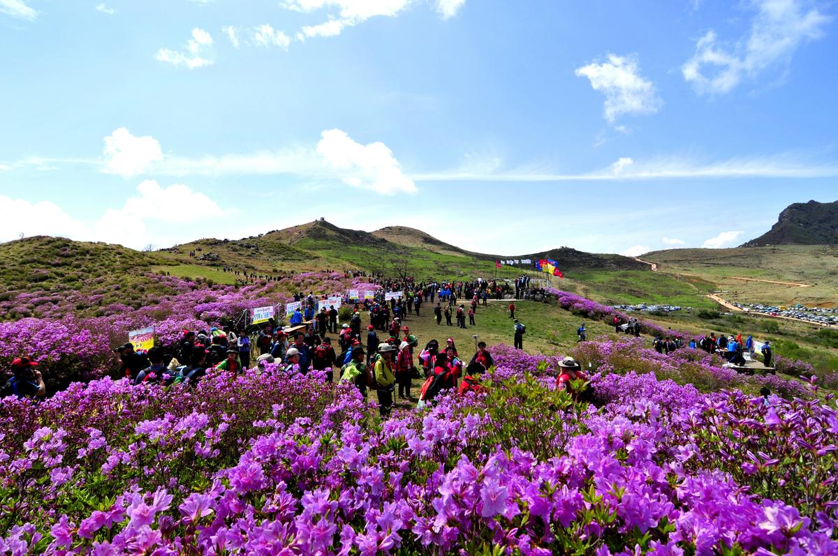 황매산 철축제