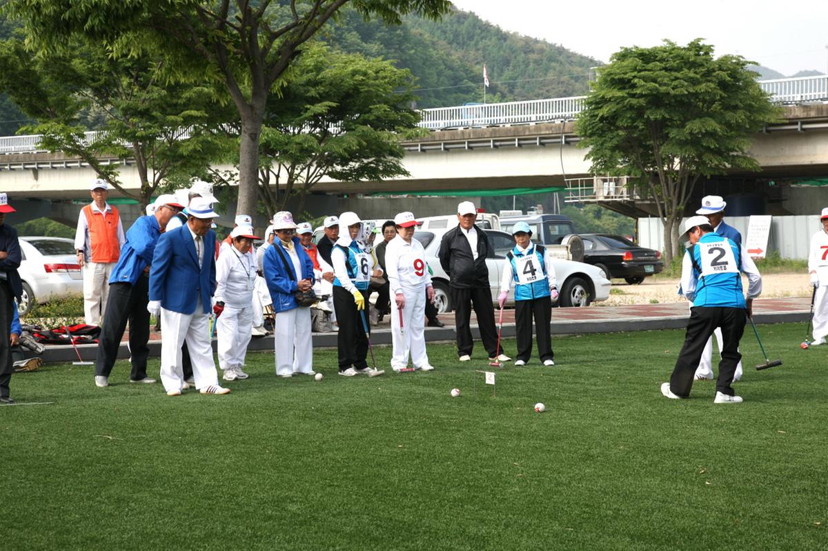 게이트볼 원로대회