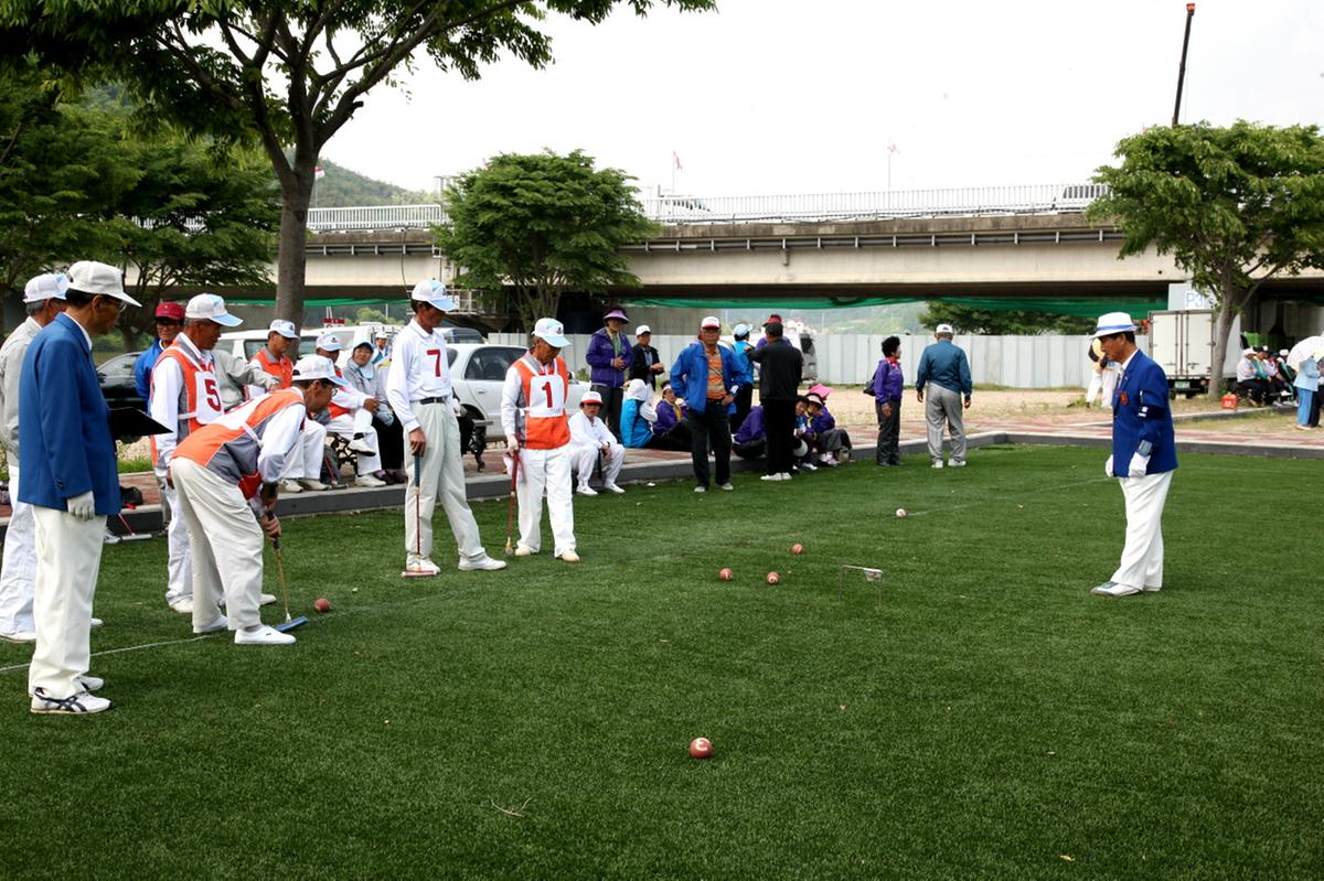 게이트볼 원로대회