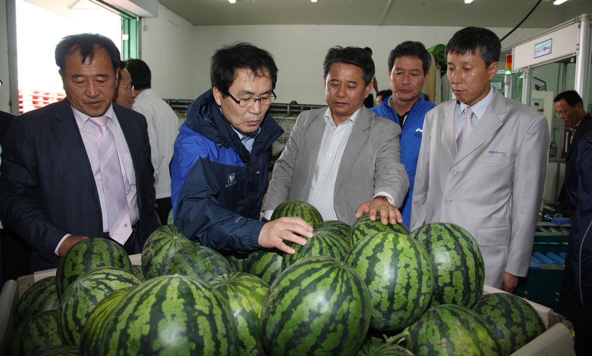 합천 유통견학