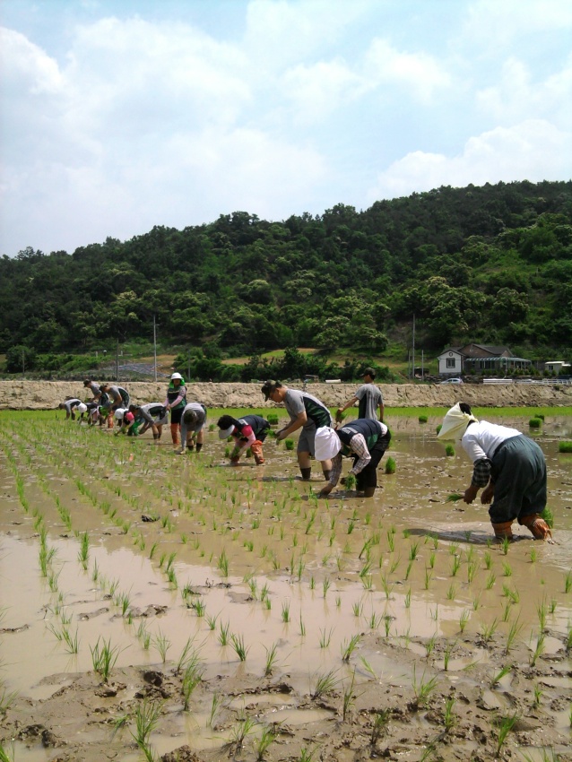군인주부민방
