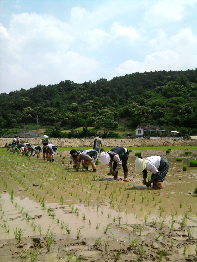 군인주부민방