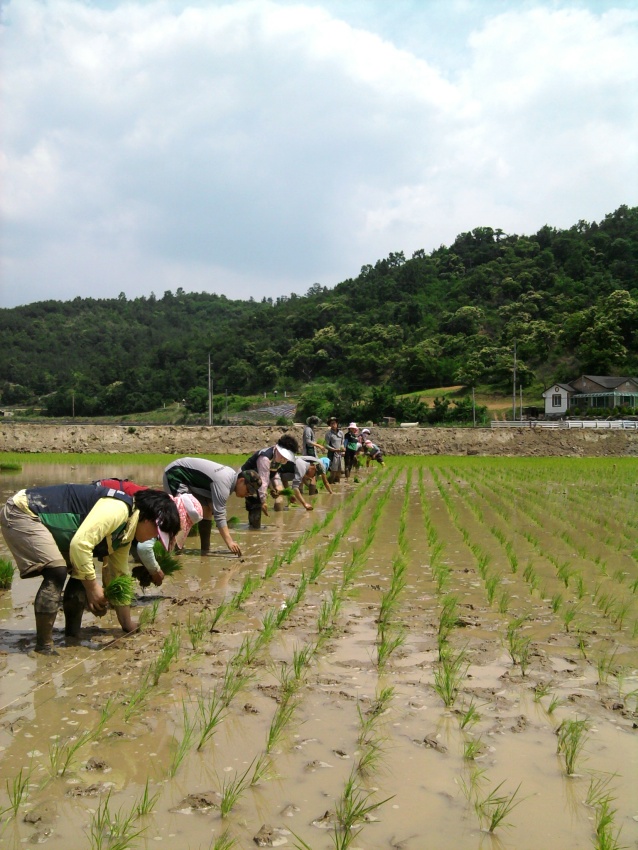 군인주부민방
