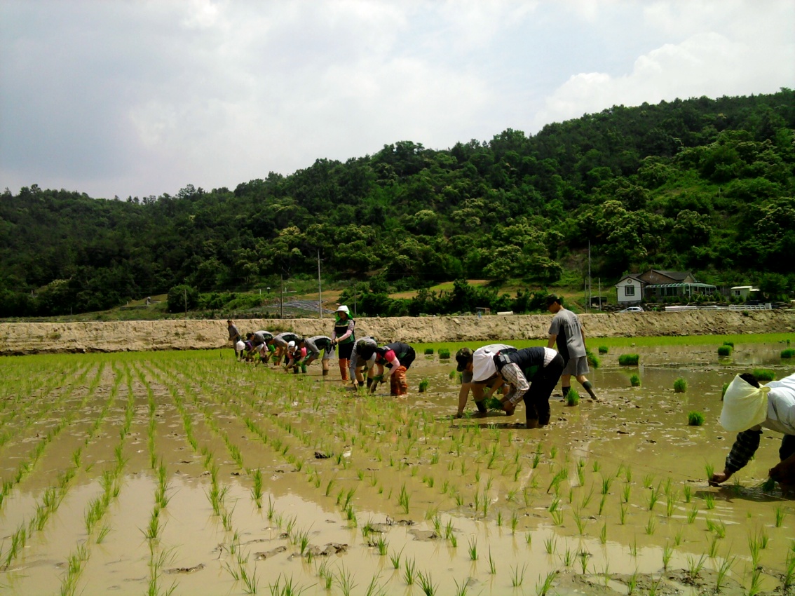 군인주부민방