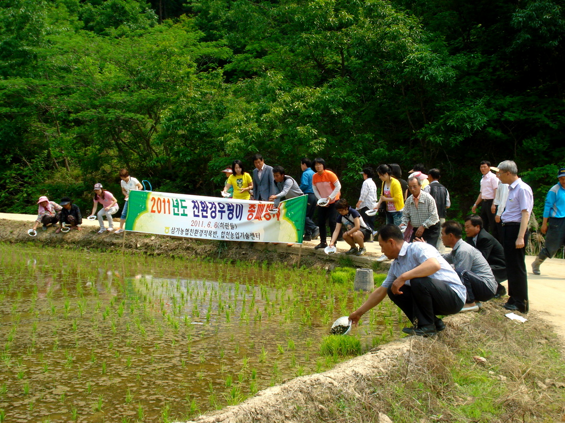 친환경우렁이 종패방류