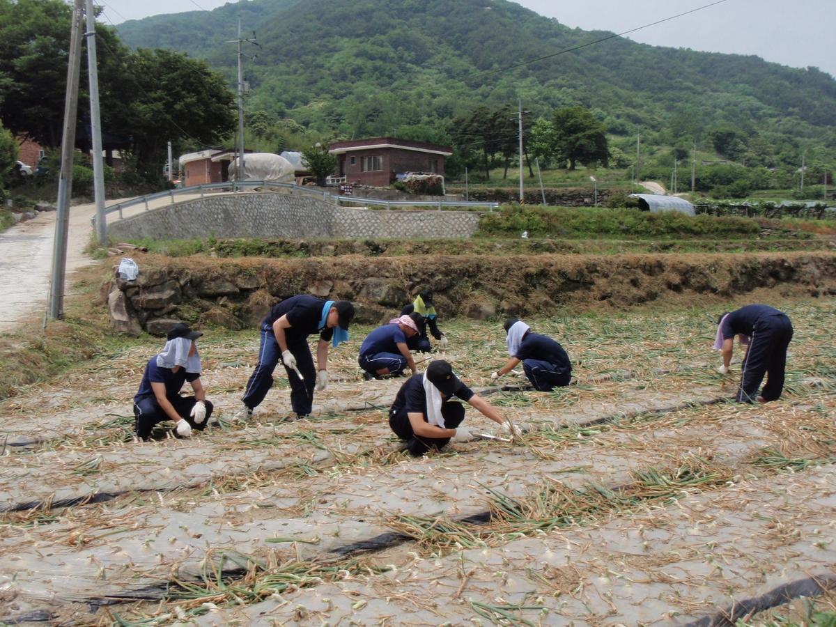 해군 향로봉