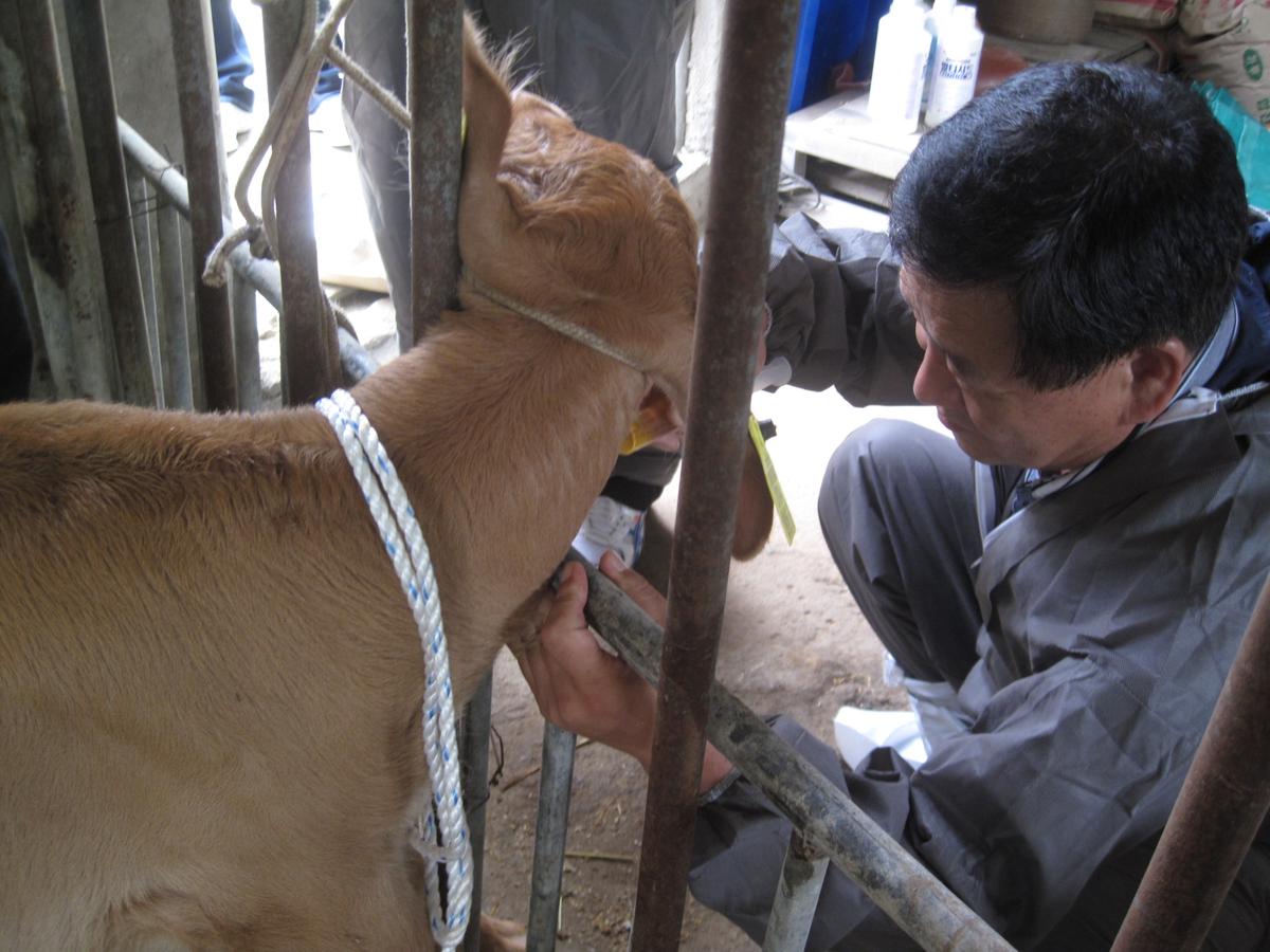가축 무료순회진료