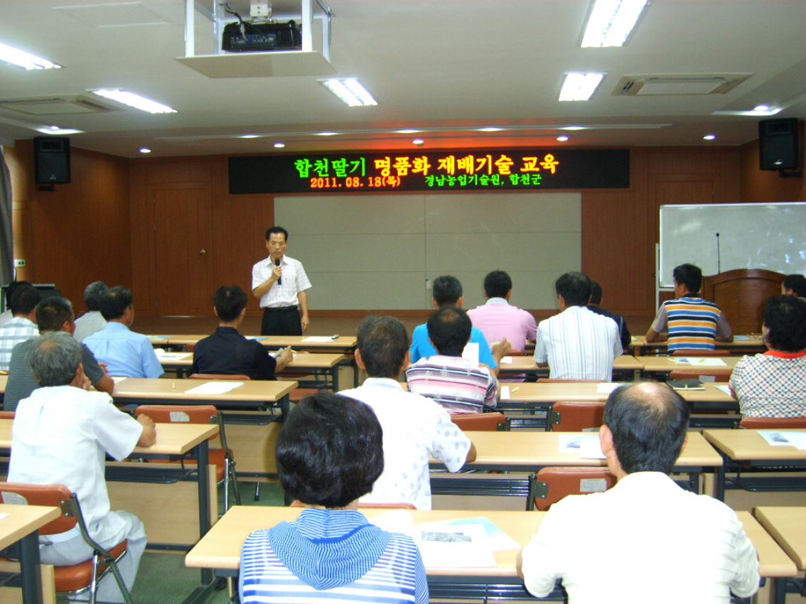 딸기재배 기술 교육