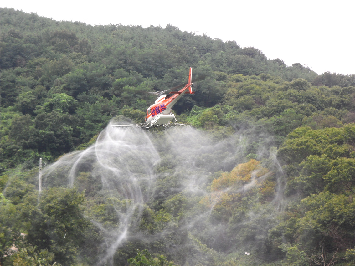 밤나무 항공방제