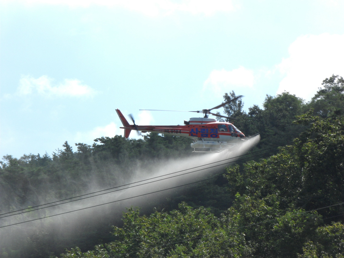 밤나무 항공방제