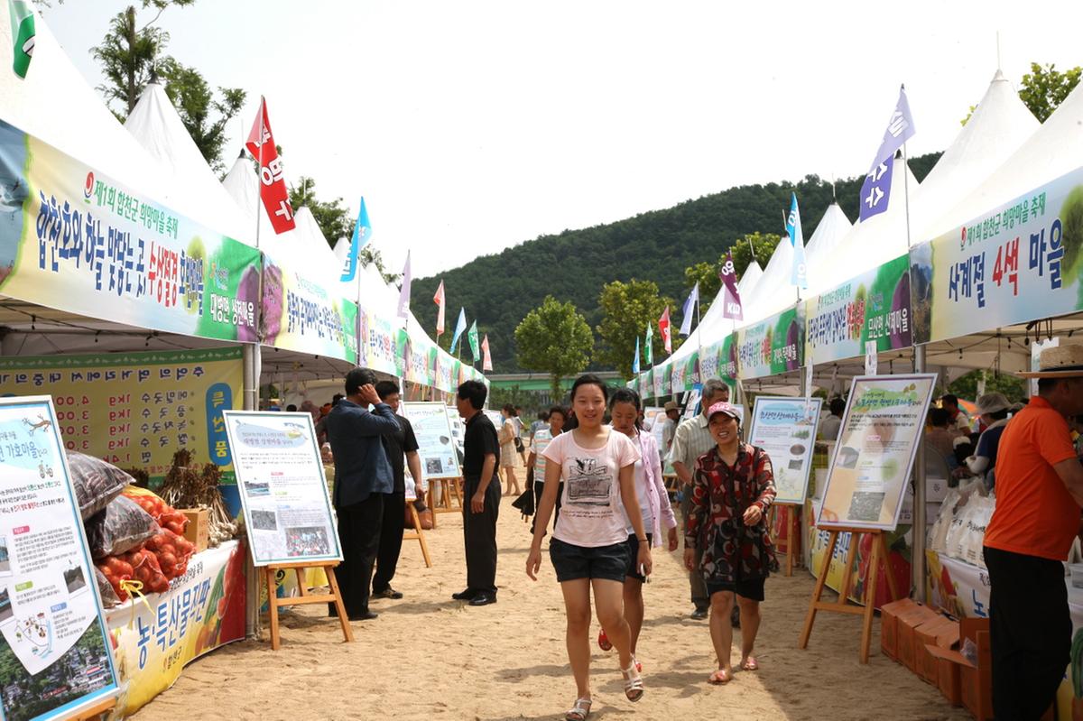 합천 희망마을 축제