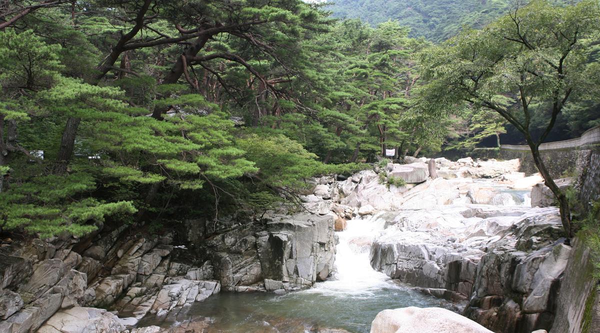 홍류동