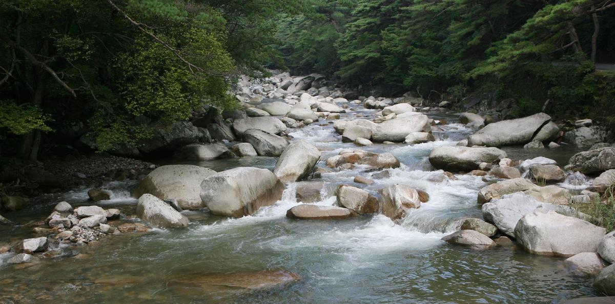 홍류동