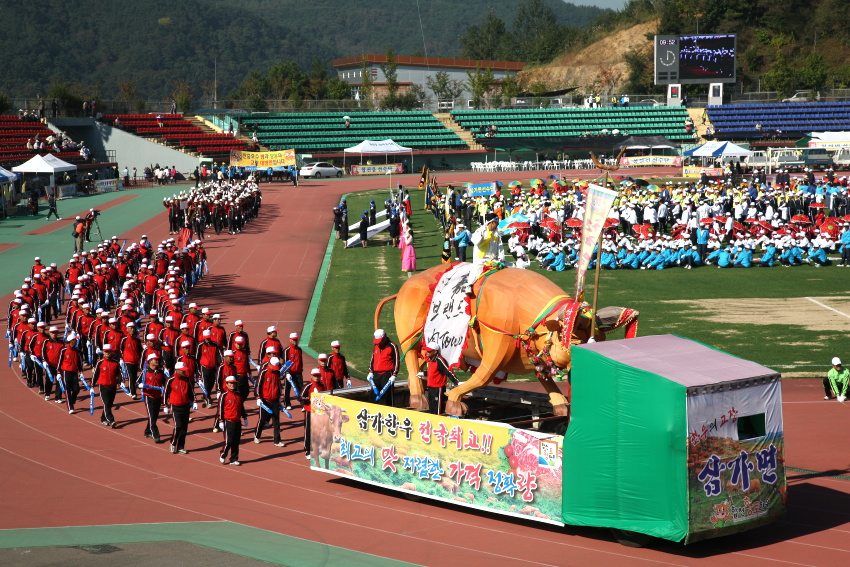 대야문화제 가장행열