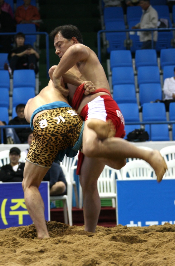 씨름