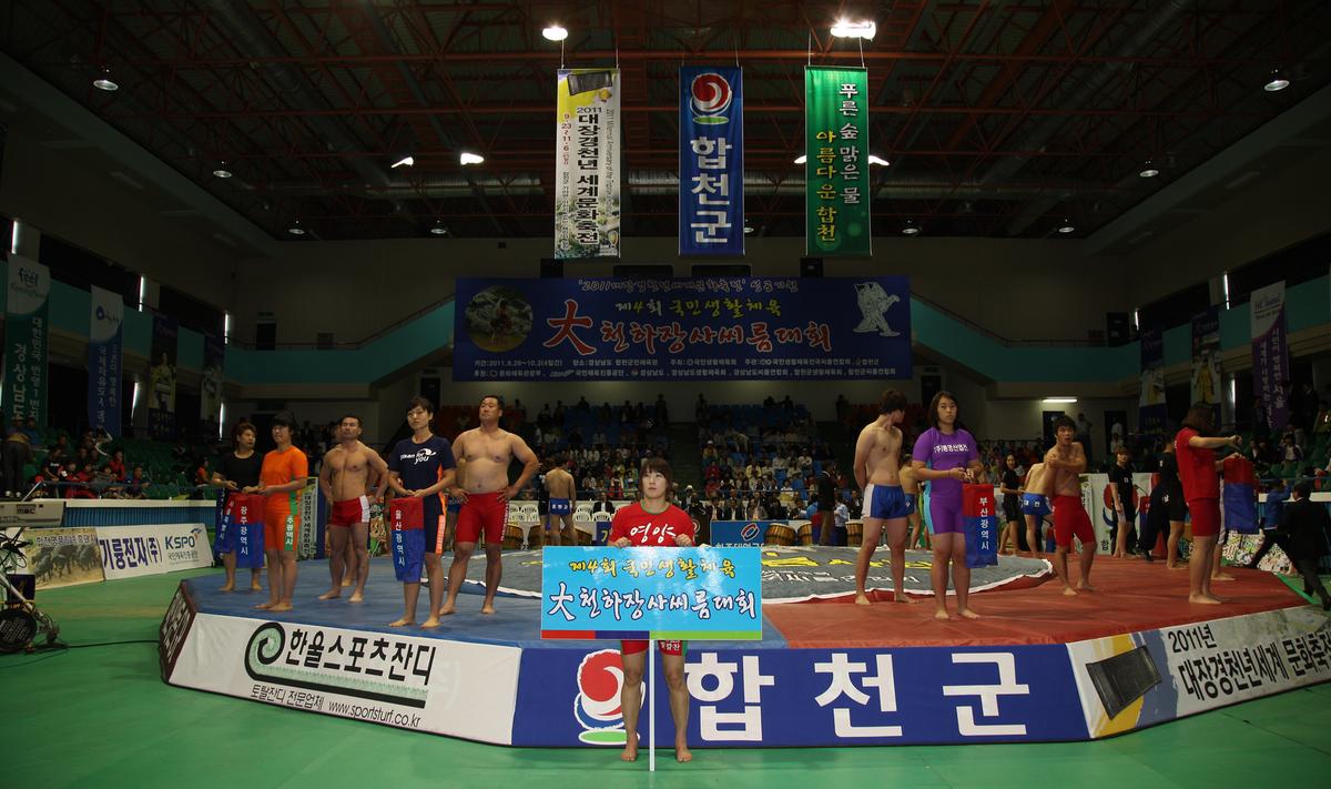 씨름