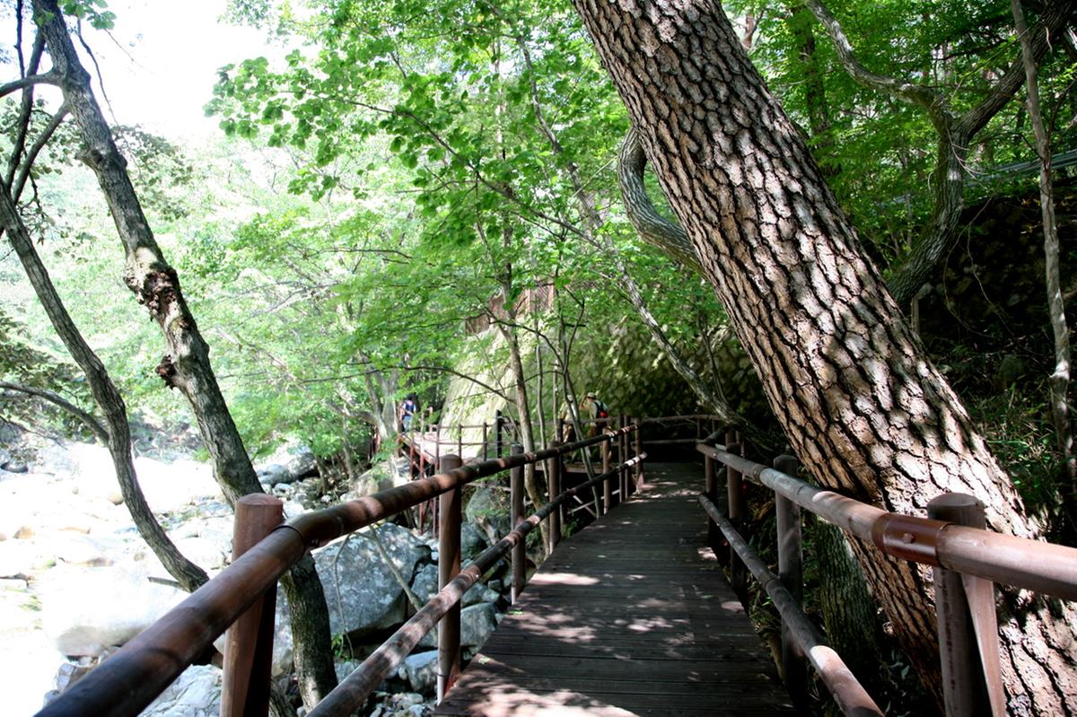 해인사 소리길 개통