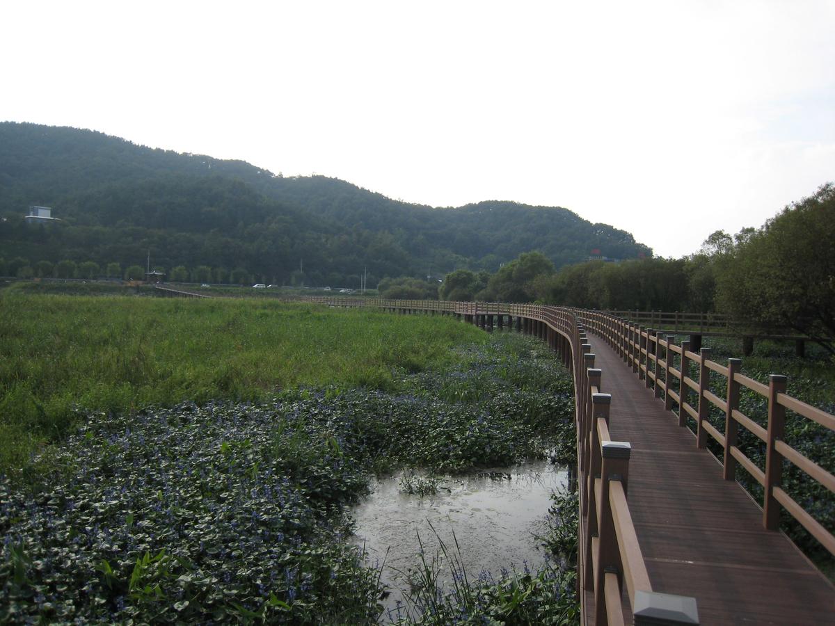 목재테크