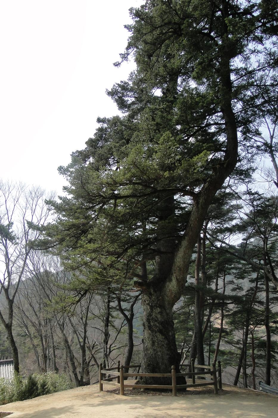 해인사