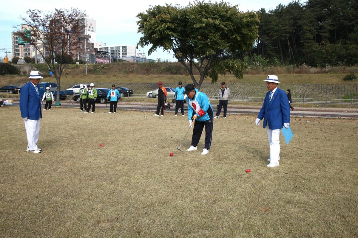 4개군 게이트볼 대회