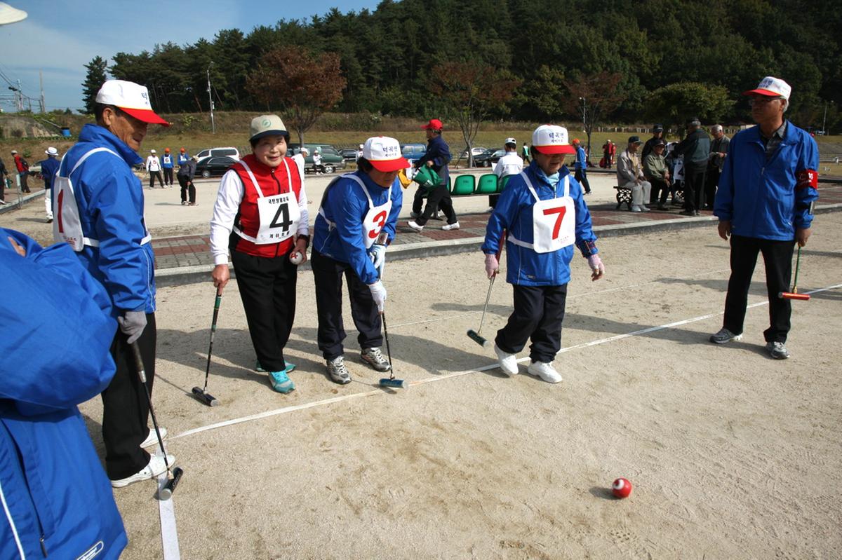 4개군 게이트볼 대회