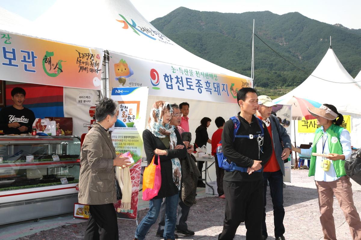 대장경 천년축전