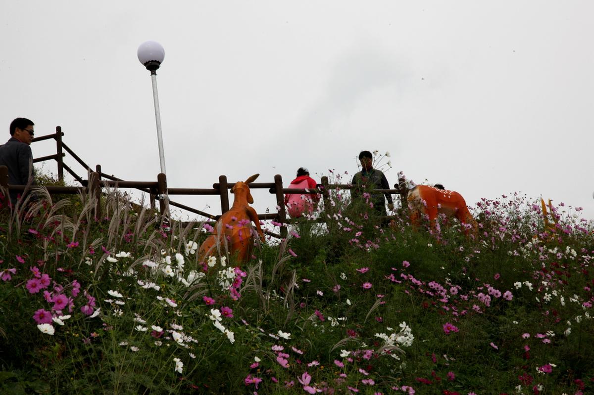 대장경 천년축전